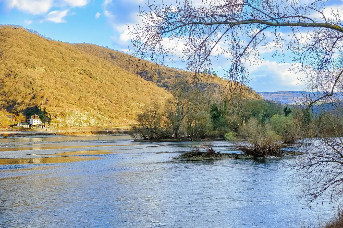 Der Rhein bei Worms